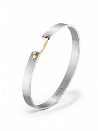 18cm Wide Paris From The Sky Titanium & Yellow Gold Bangle Bracelet