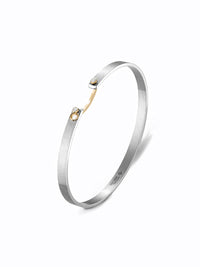 16cm Paris From The Sky Titanium & Yellow Gold Bangle Bracelet