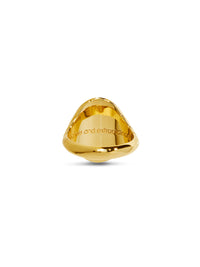 Lion Grandfather Fantasy Yellow Gold Signet Ring