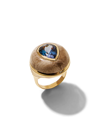 Tanzanite in Petrified Wood Lollipop Yellow Gold Ring