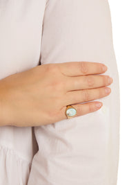 Oval Mother of Pearl Cheveliere Yellow Gold Signet Ring